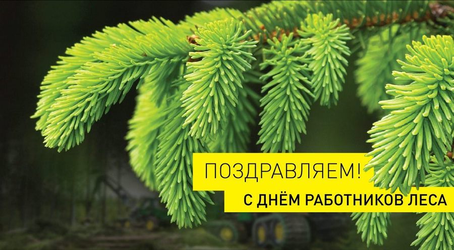 s dnem rabotnikov lesa