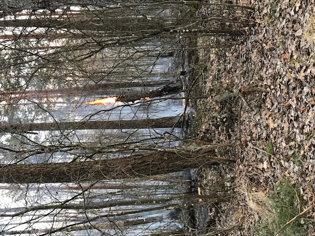 image1 1