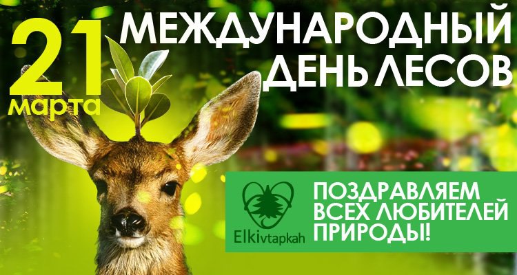 лес