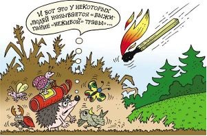 не жги