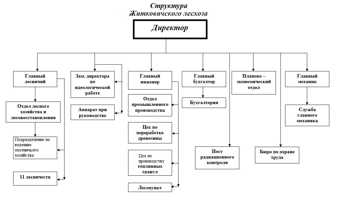 структура 12