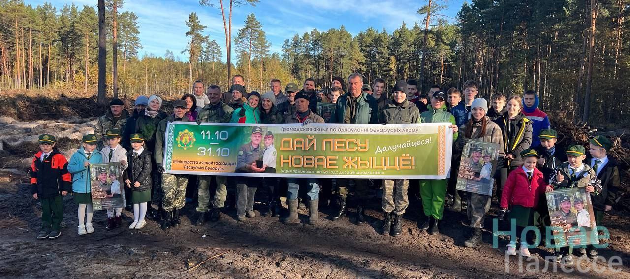 photo 2025 10 11 12 23 52