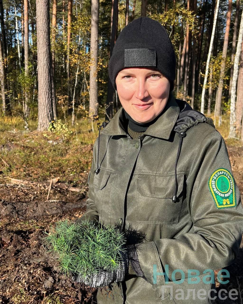 photo 2025 10 11 12 23 53