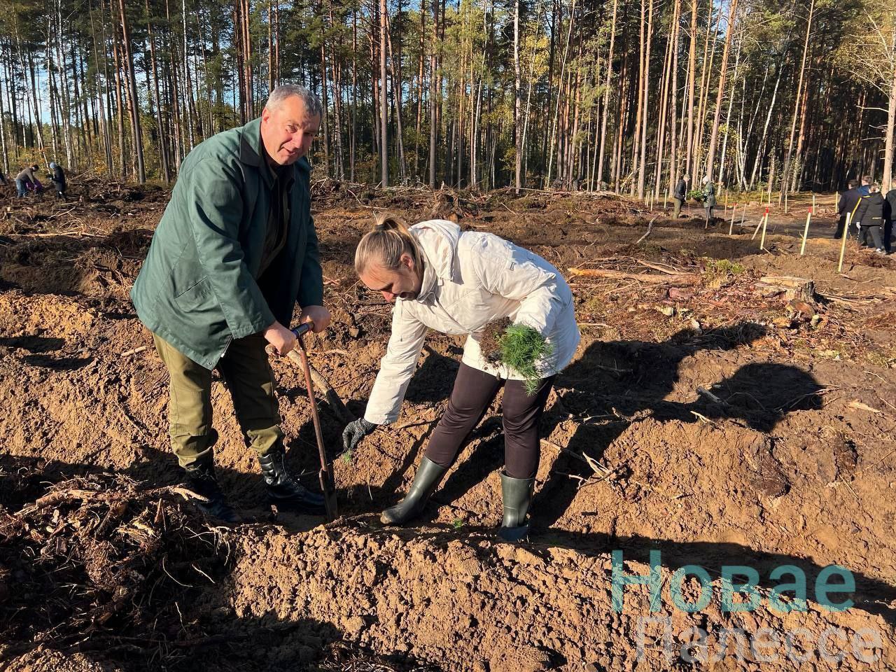 photo 2025 10 11 12 23 53 2