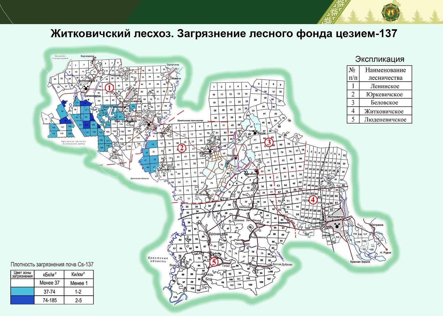 Житковичский лесхоз 26