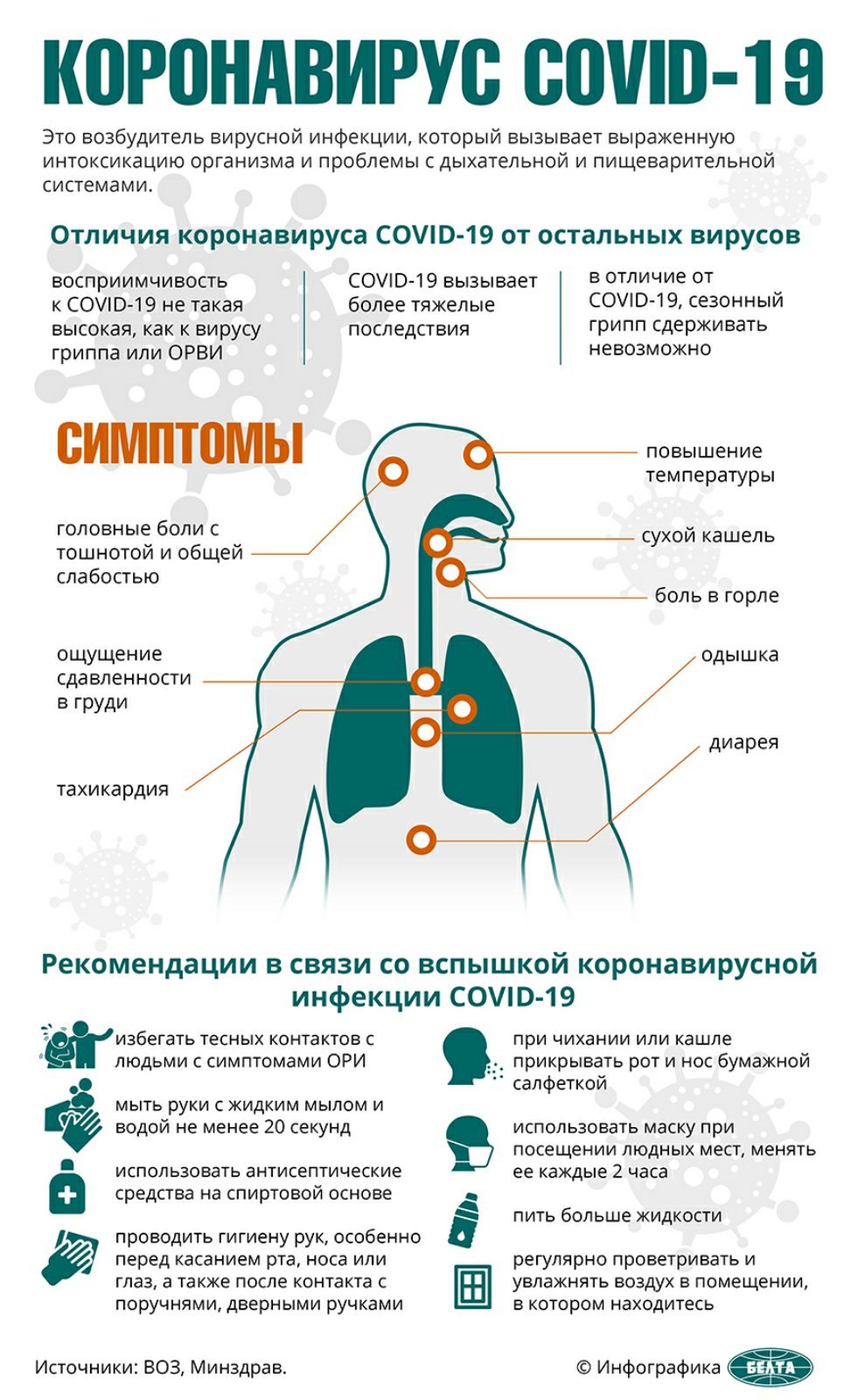Листовка
