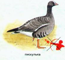 загружено 1