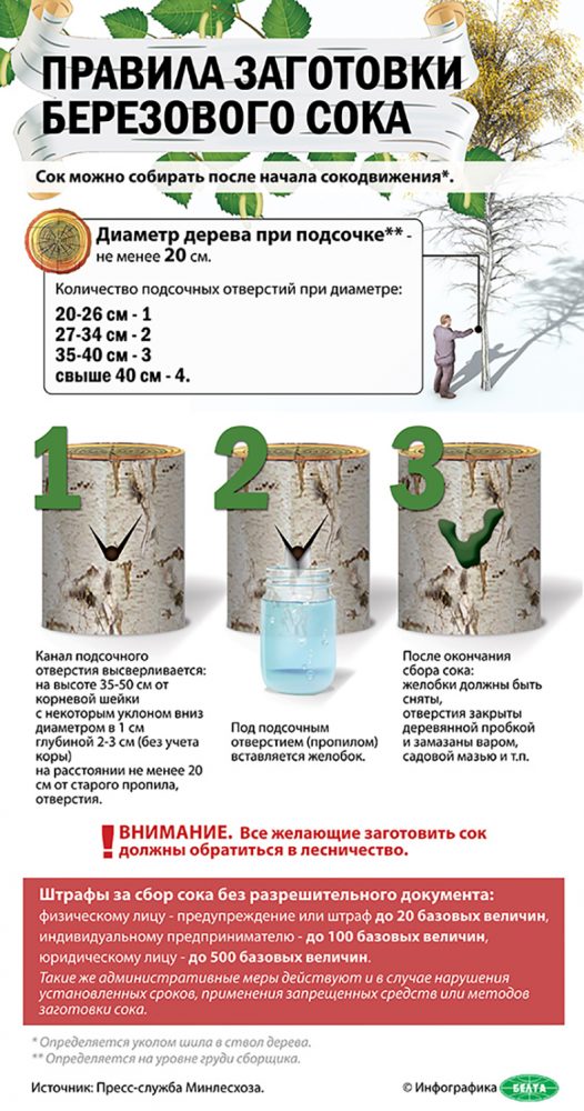 картинка на сок