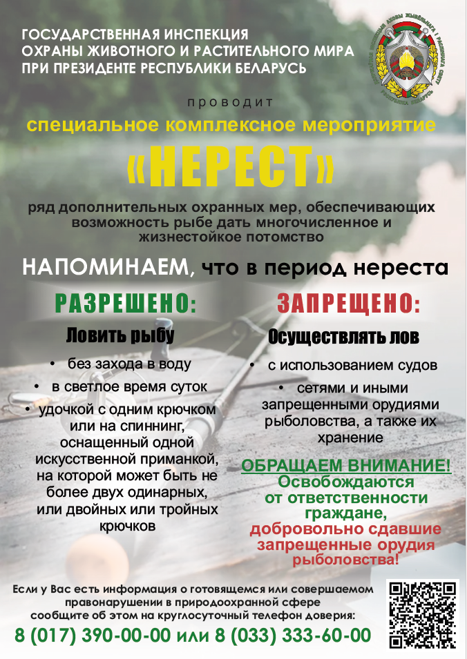 нерест