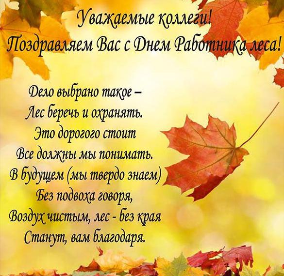 с днем лесника